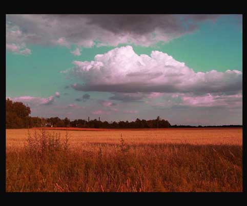 View larger image View larger image