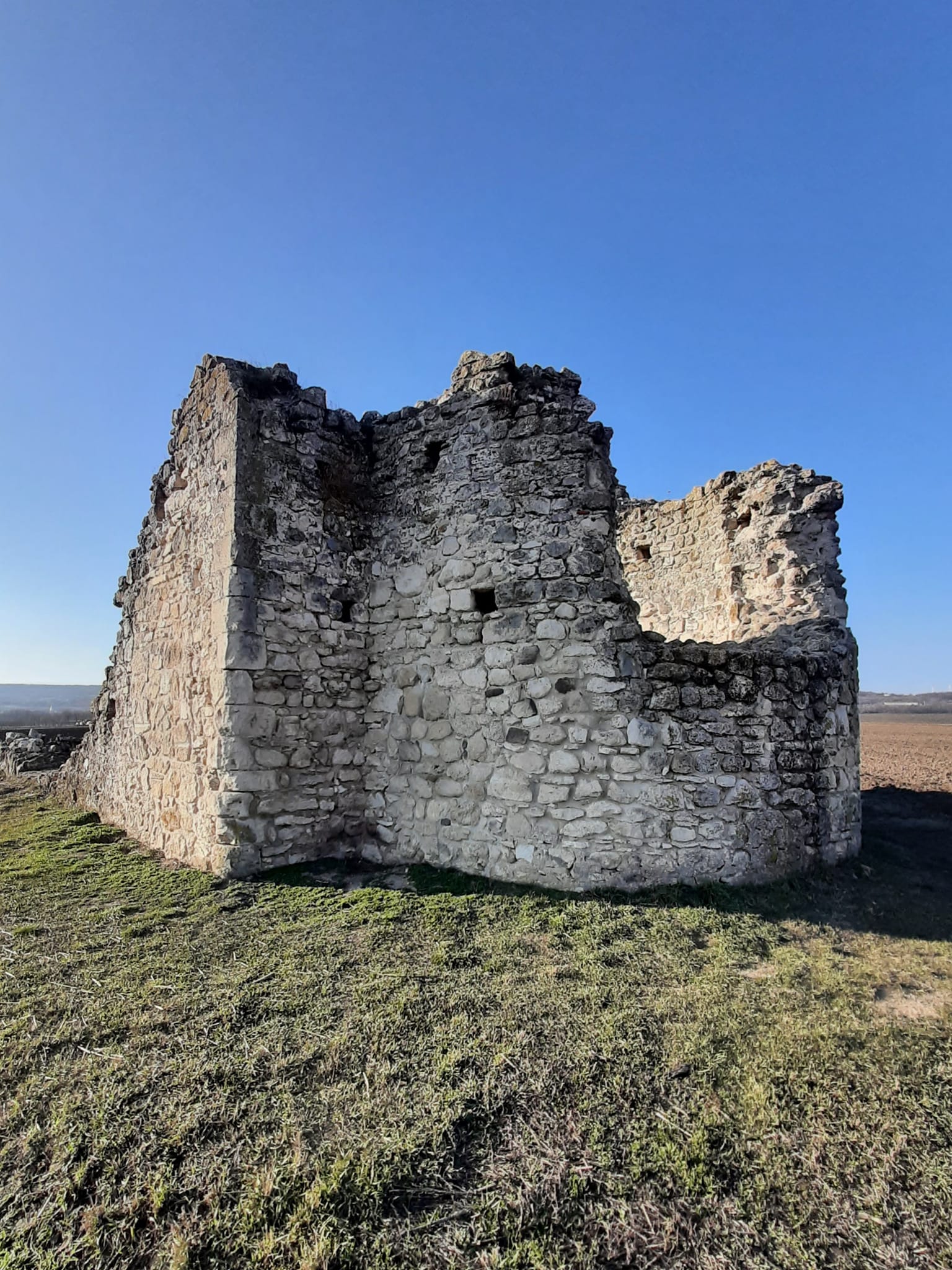 View larger image View larger image