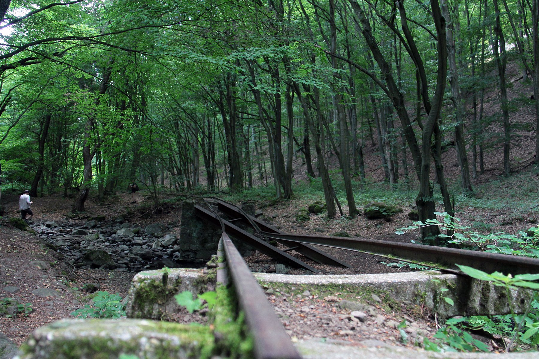 View larger image View larger image