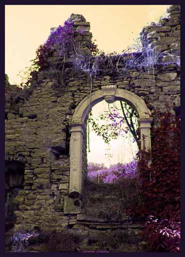 View larger image View larger image