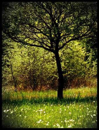 View larger image View larger image