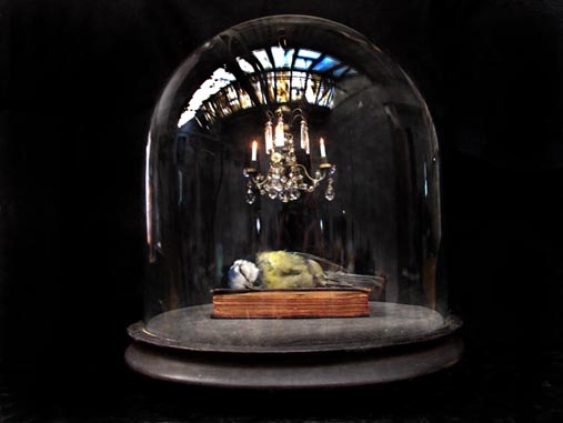 View larger image View larger image