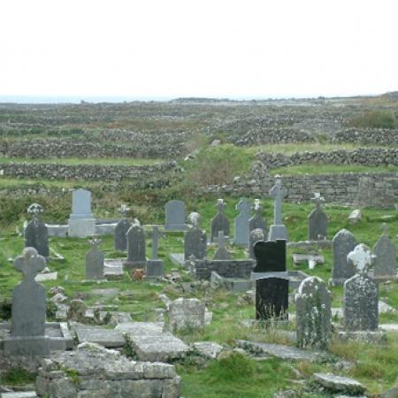 View larger image View larger image