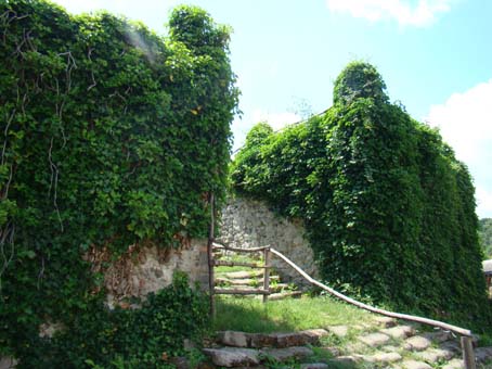 View larger image View larger image