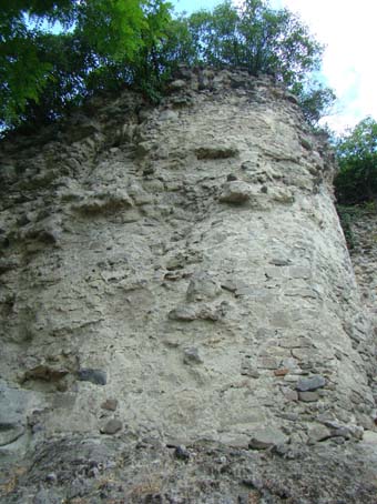 View larger image View larger image