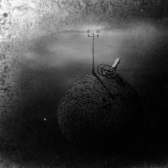 View larger image View larger image