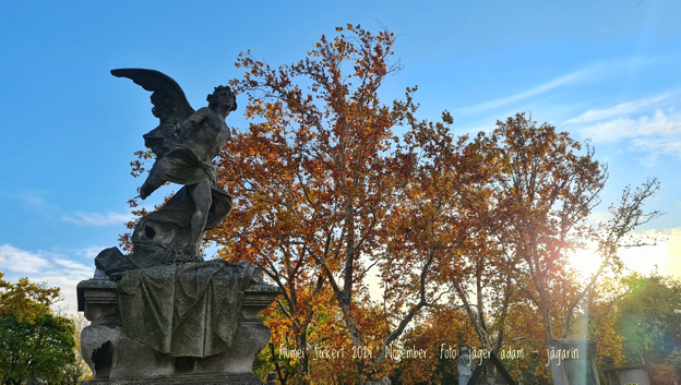 View larger image View larger image