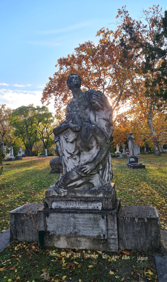 View larger image View larger image