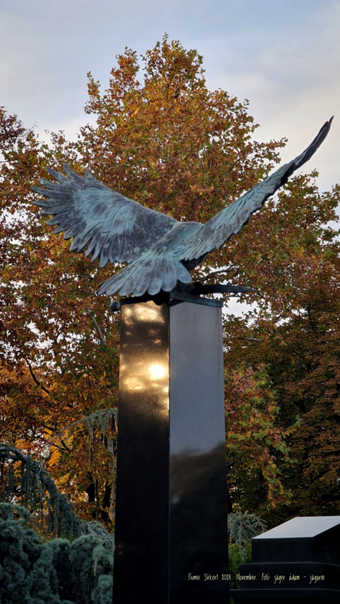 View larger image View larger image