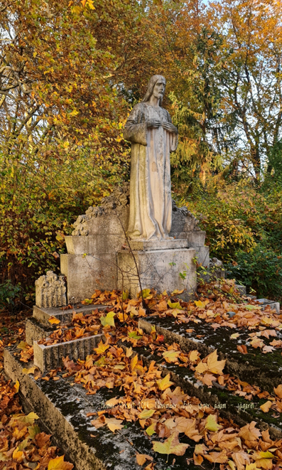 View larger image View larger image