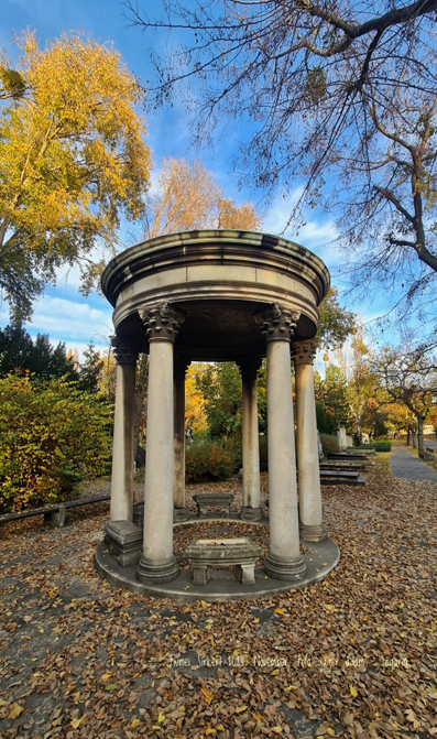 View larger image View larger image