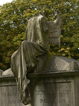 View larger image View larger image