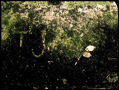 View larger image View larger image