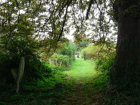 View larger image View larger image