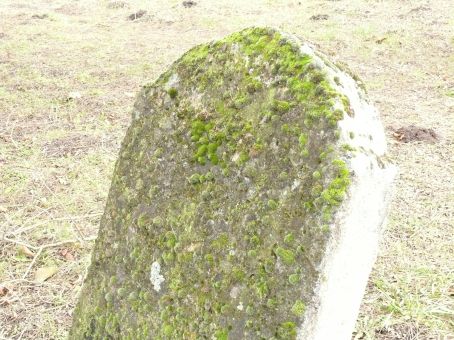 View larger image View larger image