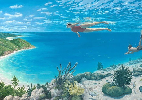 View larger image View larger image