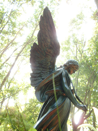 View larger image View larger image