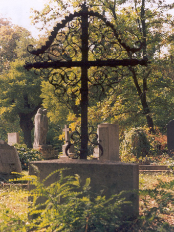 View larger image View larger image